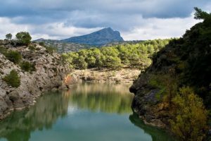 rando yoga bibemus