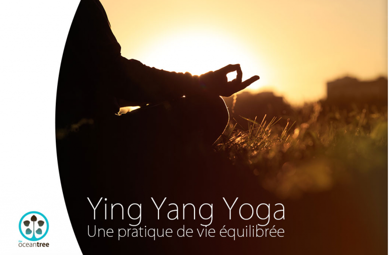 Yin Yang Yoga, une pratique de vie équilibrée